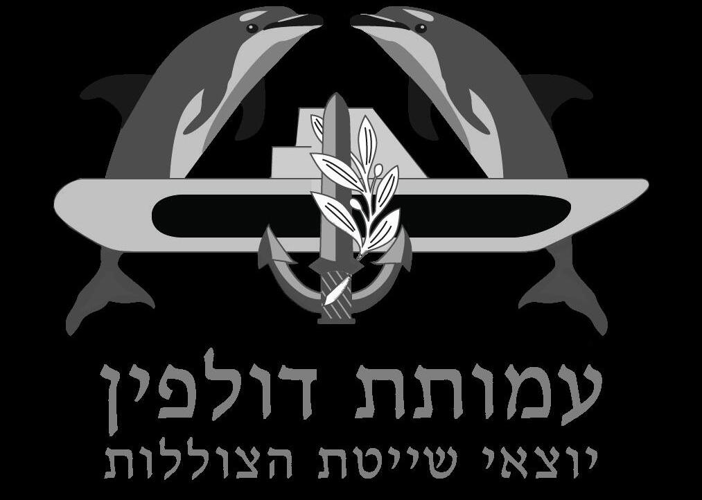 עידו פולק